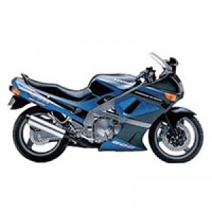 Achat Carénage Kawasaki ZZR600