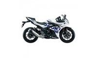 Achat Carénage Suzuki GSX250R