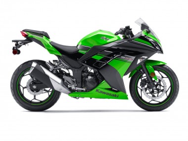 Achat Carénage Moto Kawasaki EX300 2013-2024 - Vert Noir