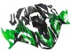 Kits Carénage Moto Kawasaki ZX14R ZZR1400 2012-2024 - Vert Noir Brillant
